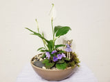 Peace Lilies & Mini Purple African Violet Fairy Garden - Best air purifying indoor houseplants