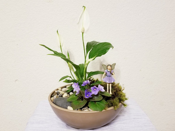 african peace lily Peace Lilies & Mini Purple African Violet Fairy Garden