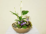 Peace Lilies & Mini Purple African Violet Fairy Garden - Best air purifying indoor houseplants