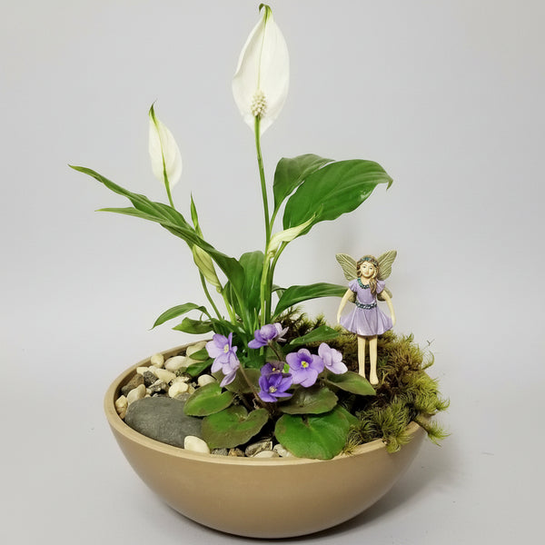 peace lily air purifying plant Peace Lilies & Mini Purple African Violet Fairy Garden