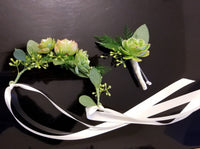Succulents Necklet and Boutonniere
