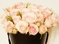 Star Blush Roses Box