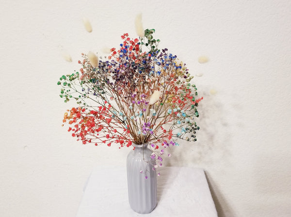 Preserved Dark Rainbow Baby's Breath Small Arrangement