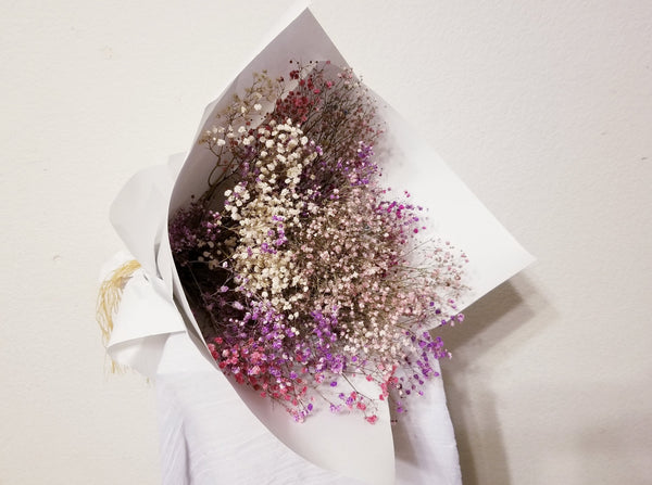 Dried Babys Breath Colors - Dried Gypsophila For Sale