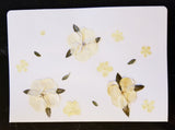 Handmade Pressed Flowers Cards