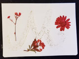 Handmade Pressed Flowers Cards