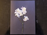 Handmade Pressed Flowers Cards