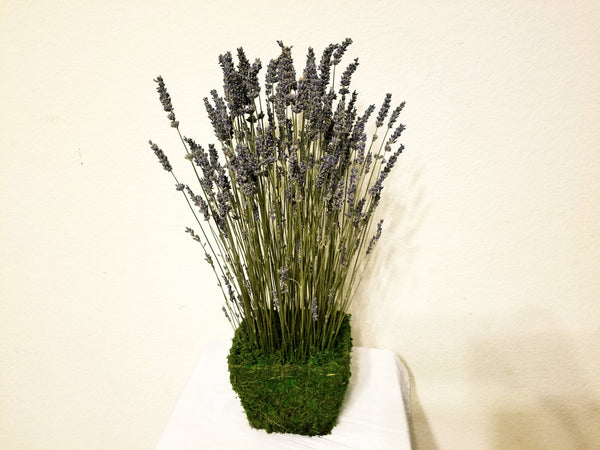 Lavender Fields Design in Preserved Moss Basket – LeLe Floral