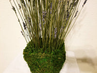 Lavender Fields Design in Preserved Moss Basket