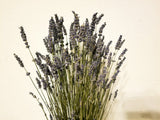 Lavender Fields Design in Preserved Moss Basket