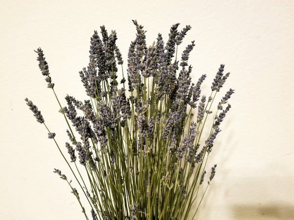 Lavender Fields Design in Preserved Moss Basket – LeLe Floral