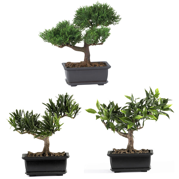 silk tree bonsai 8.5" Bonsai Silk Plant Collection (Set Of 3) – LeLe Floral