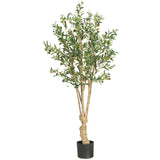 5' Olive Silk Tree