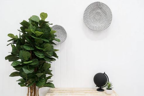 6' fiddle leaf fig tree 6' Fiddle Leaf Fig Tree – LeLe Floral