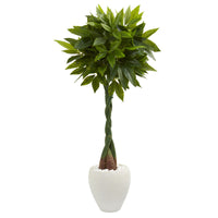 4.5’ Money Artificial Tree in White Oval Planter (Real Touch)