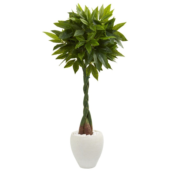 4.5’ Money Artificial Tree in White Oval Planter (Real Touch)
