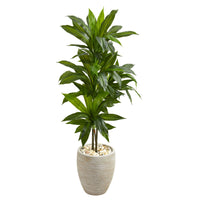 4’ Dracaena Artificial Plant In Sand Colored Planter (Real Touch)