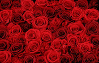 PURE RED ROMANTIC COLLECTION (PRESERVED FLOWERS BOX)