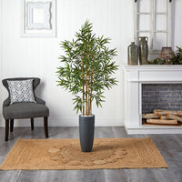 5’ Bamboo Tree in Gray Cylinder Planter