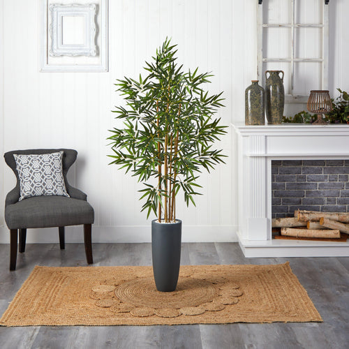bamboo tree plant indoor Homplanti 5" Bamboo Tree in Gray Cylinder Planter
