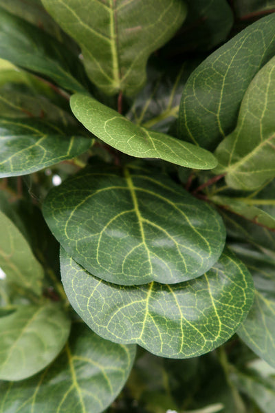 nearly natural 6 fiddle leaf fig tree 6' Artificial Fiddle Leaf Fig Tree – LeLe Floral