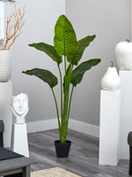 64” Travelers Palm Tree UV Resistant (Indoor/Outdoor)